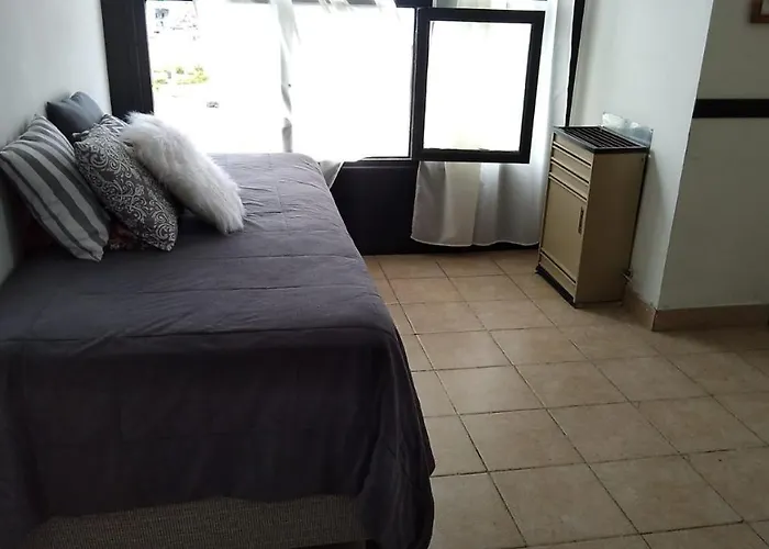 Beagle House Centro